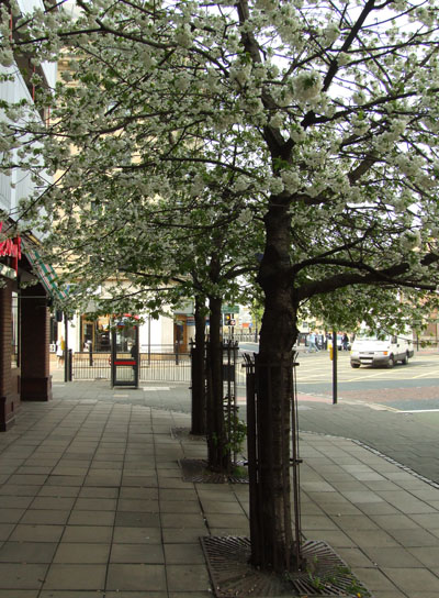 street pics-newcastleresize.jpg